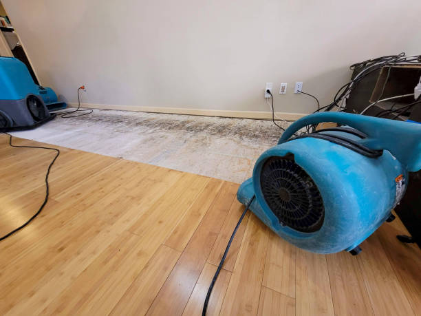 Professional Burst Pipe Water Damage technician working in Epworth, IA